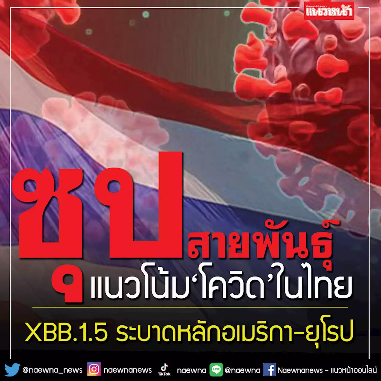 โควิด XBB.1.5 จ่อขยับระบาดหลักในอเมริกา-ยุโรป ก.พ.นี้ ไทยส่อเป็น‘ซุปสายพันธุ์’