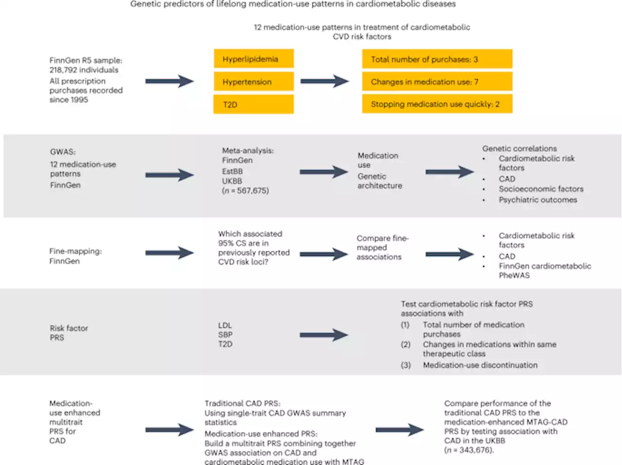 Genetic predictors of lifelong medication-use patterns in cardiometabolic diseases - Nature Medicine