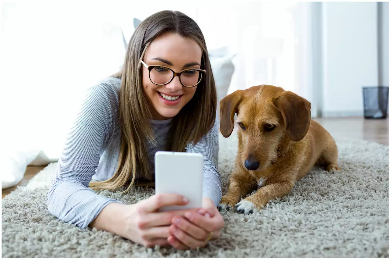 Dog hanging up phone on dad leaves internet in stitches