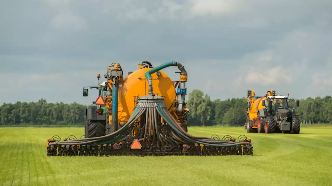 Boeren in Noord-Holland extra hard geraakt door nieuwe stikstofmaatregelen