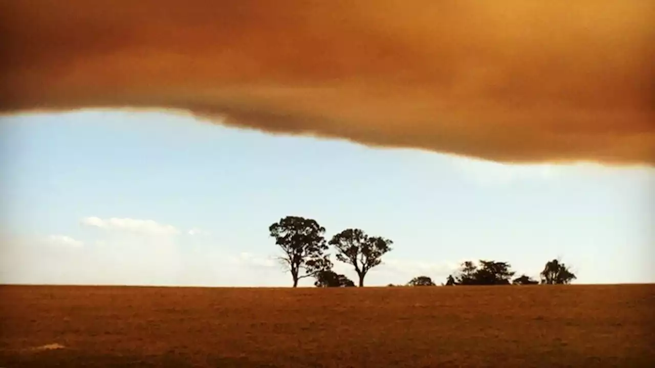 Conditions expected to ease but communities remain alert after bushfires in Victoria's Gippsland region