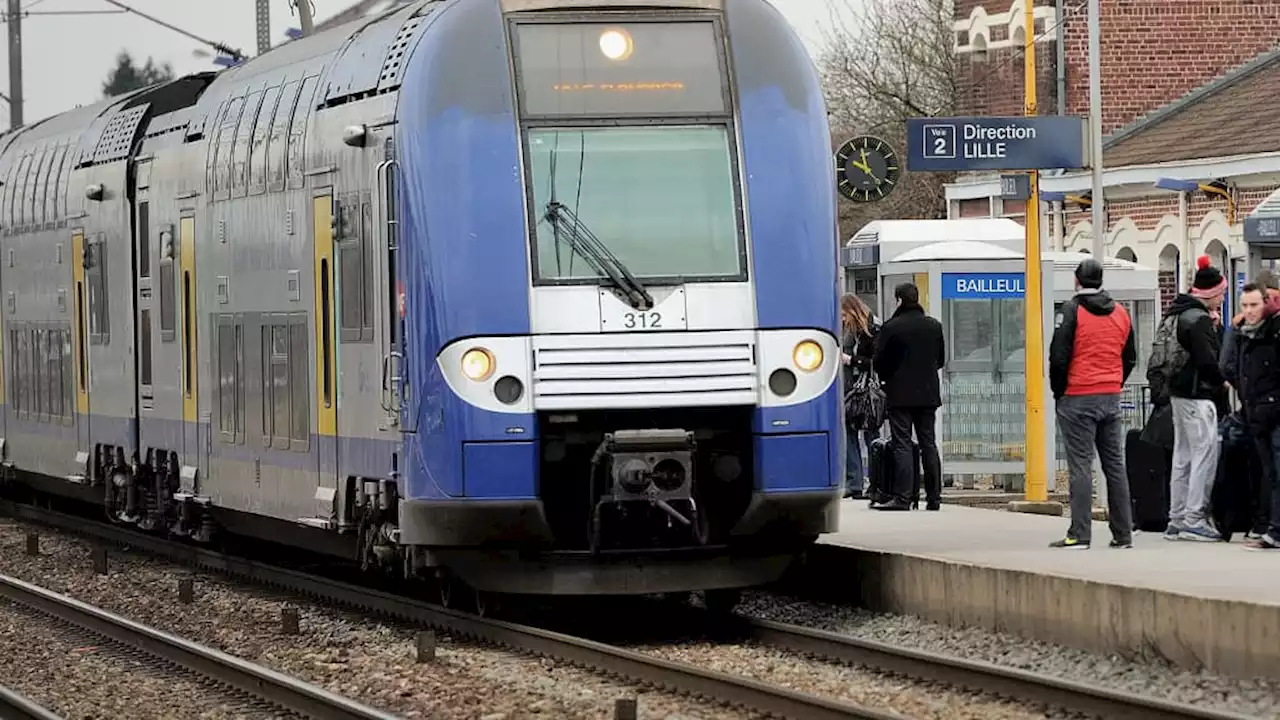 Loire-Atlantique: une personne heurtée par un TER, le trafic interrompu