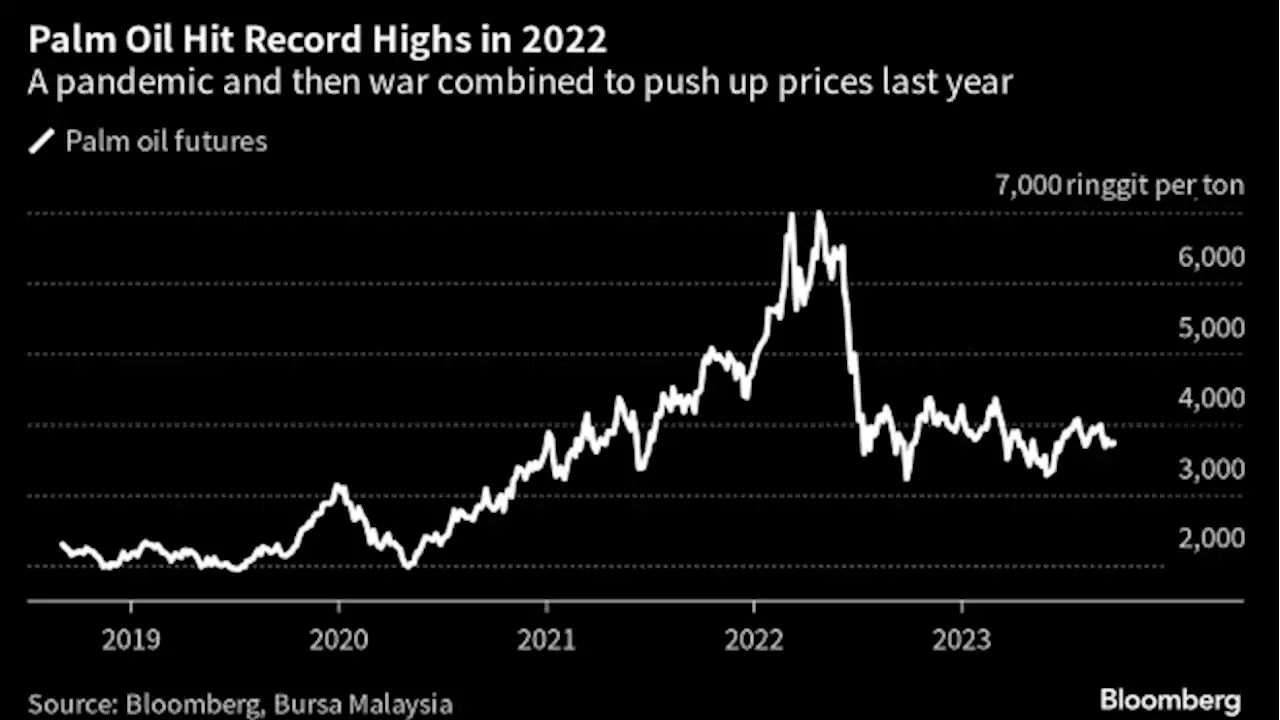 Aging Trees Show a Crisis Looms for the World’s Everything Oil