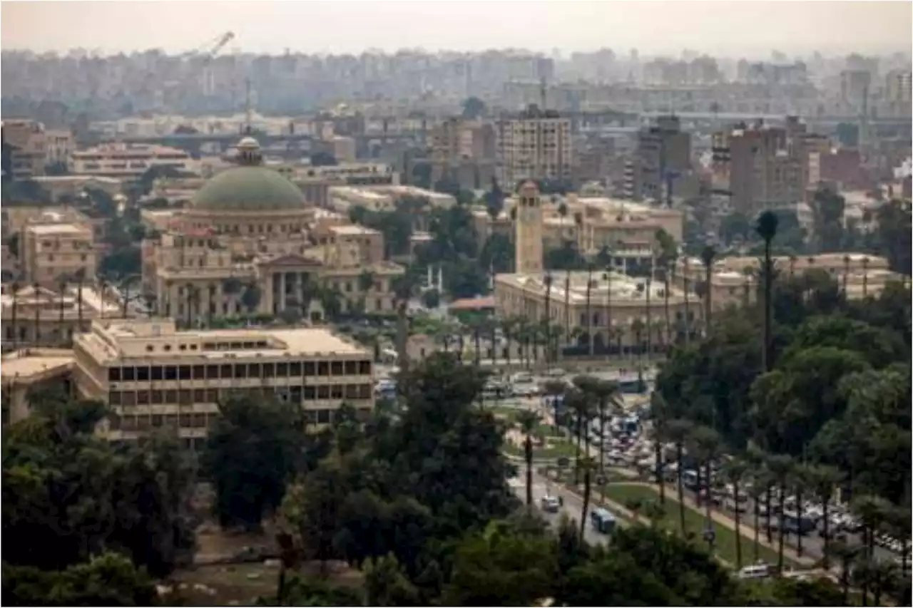 Cairo University Employee Killed in Gender-Based Shooting