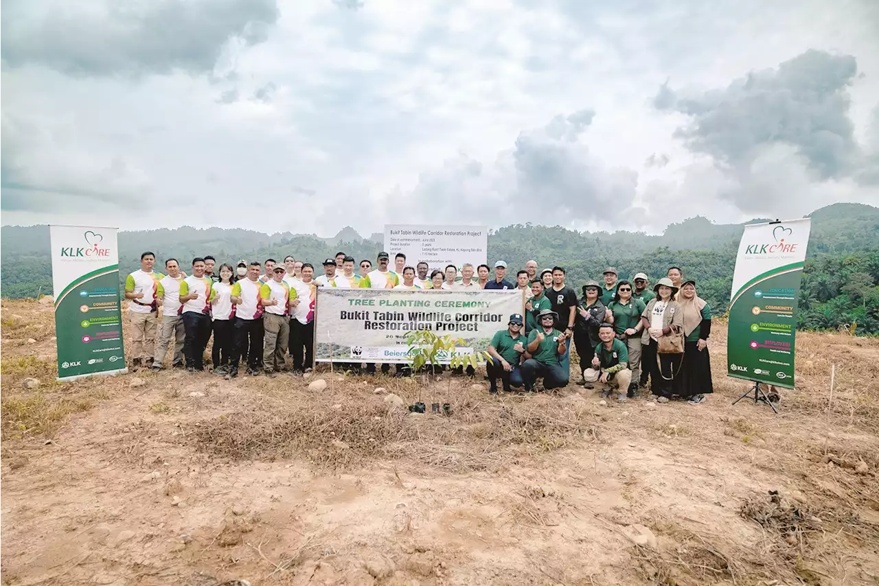 Wildlife corridor linking Tabin with Silabukan: WWF-KLK project funded by German MNC