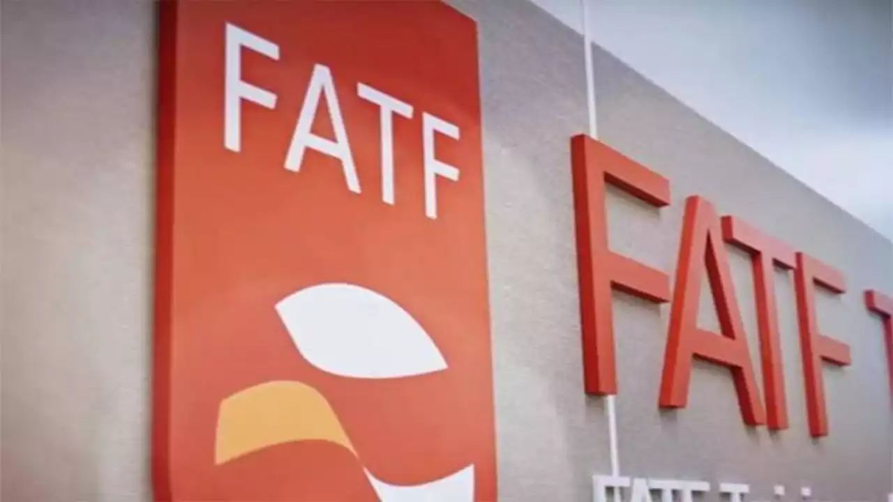 India abusing FATF's rules, int'l laws to target civil society groups: Amnesty