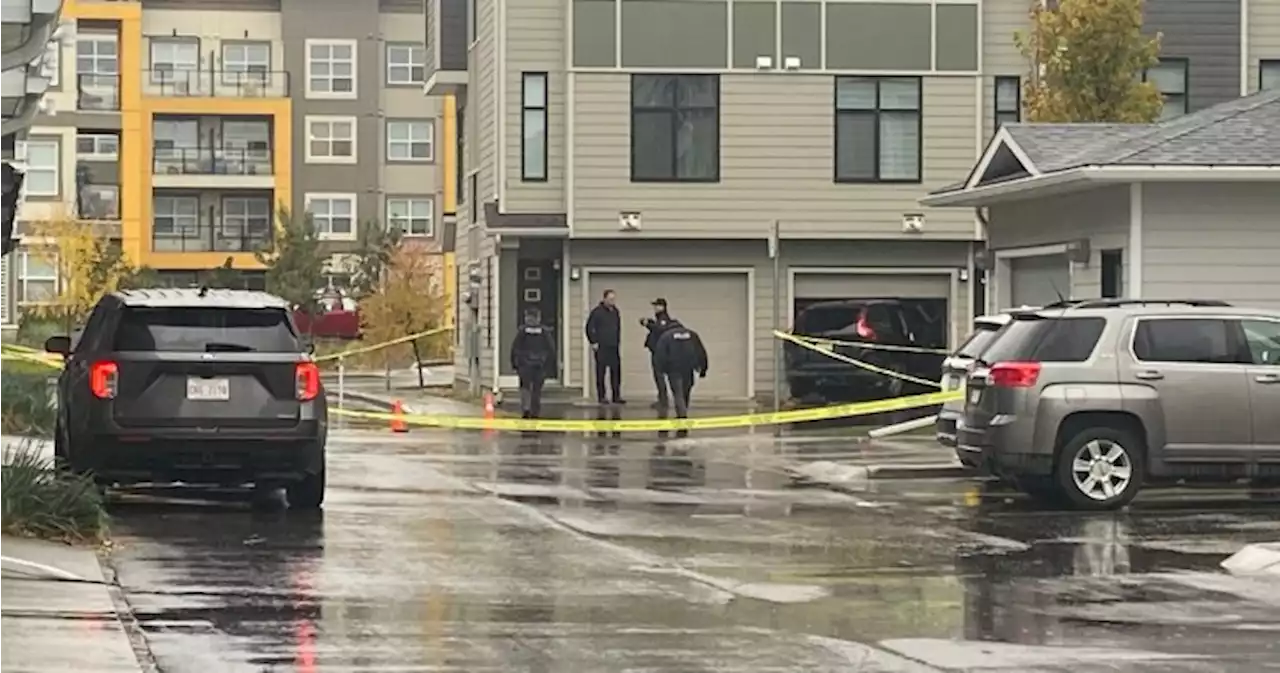 1 person in critical condition after shooting in southeast Calgary