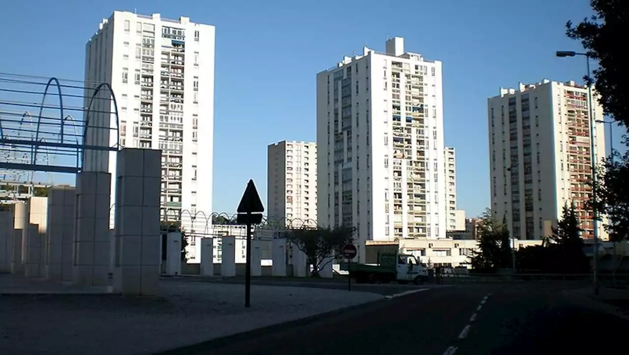 Importante saisie de drogue et d'armes lourdes dans le quartier Pissevin à Nîmes