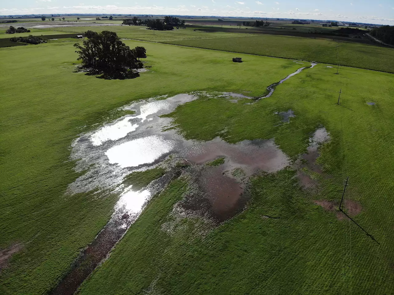 Se activa El Niño y estos son los lugares donde más lloverá