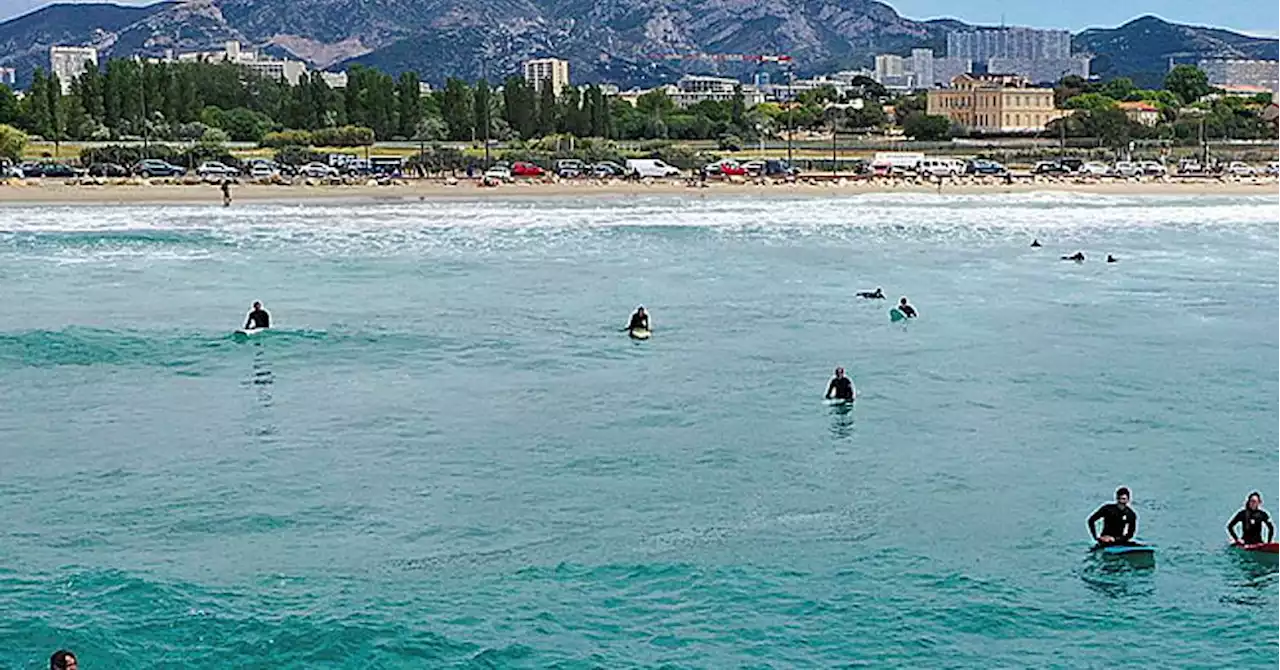 Marseille : immersion avec les surfeurs invétérés de la plage de l'Huveaune