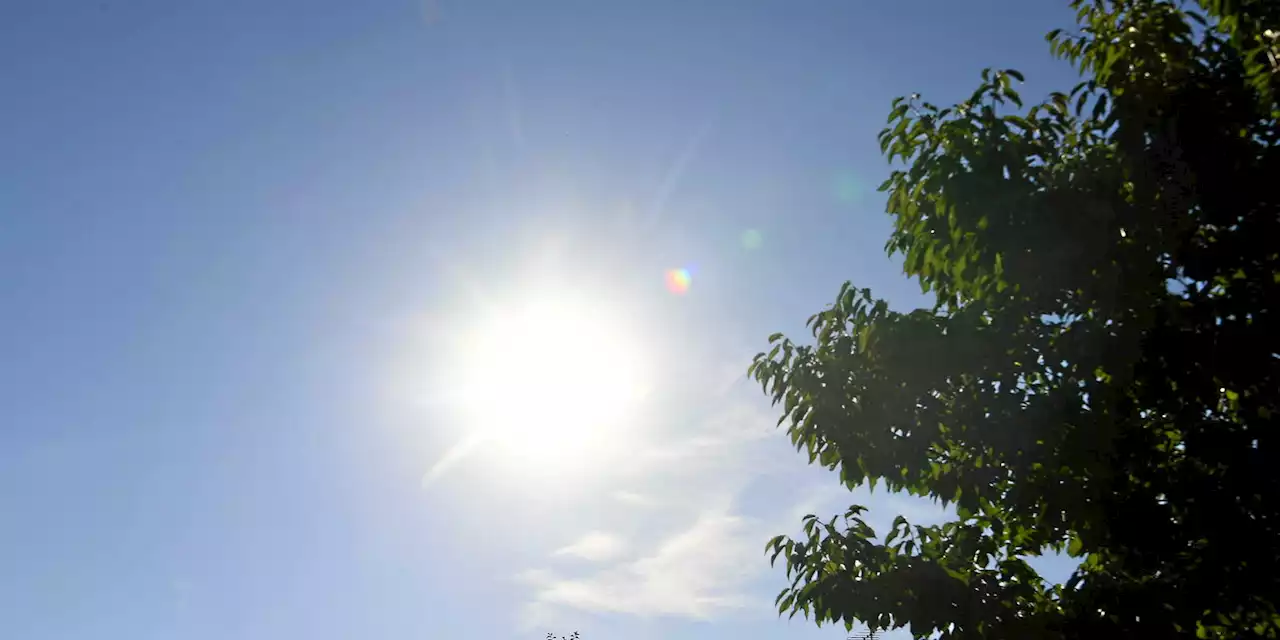 Météo : records de chaleur automnale en France, le pic attendu lundi