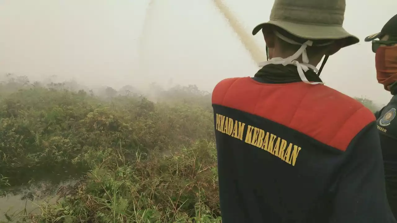 Pelajar Kota Jambi Dirumahkan Imbas Kabut Asap Karhutla Makin Tebal