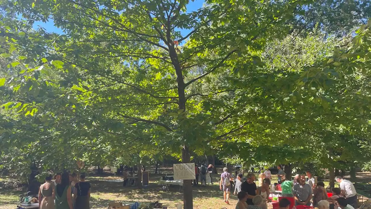 La caisse alimentaire commune fête ses 9 mois d’existence avec une assemblée citoyenne à Montpellier