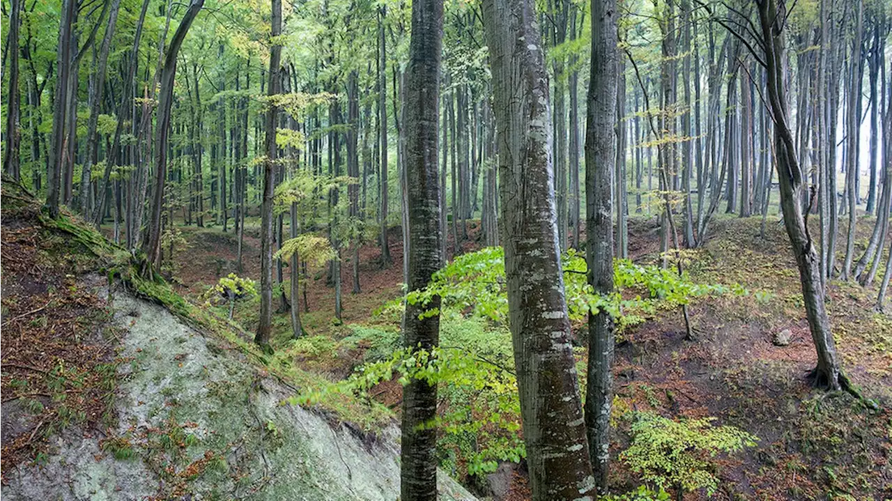 Schätze der Welt