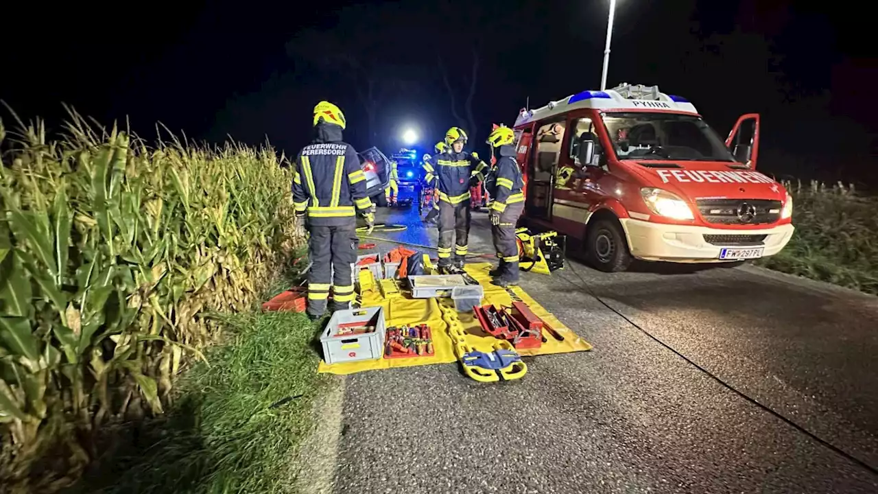 Pkw krachte gegen Baum: Alle Insassen verletzt