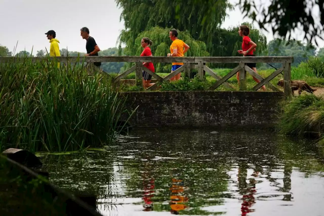 London Marathon Foundation invests £1m in junior parkrun in new partnership