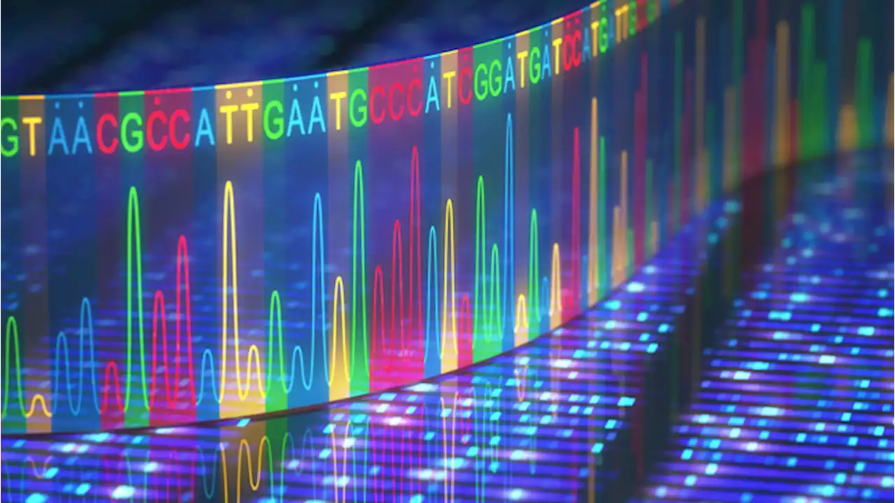 Diagnosi molecolare dei tumori: istruzioni per l'uso