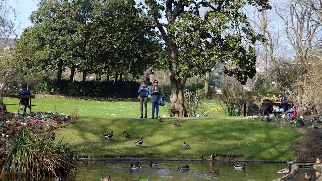 Un enfant de 2 ans en urgence absolue après une noyade au jardin des Plantes de Nantes