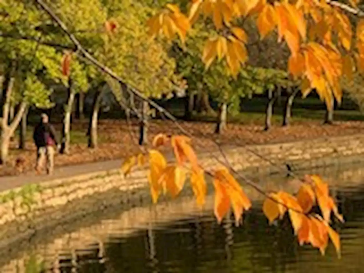 D.C.-area forecast: Warming trend with sunshine through at least midweek