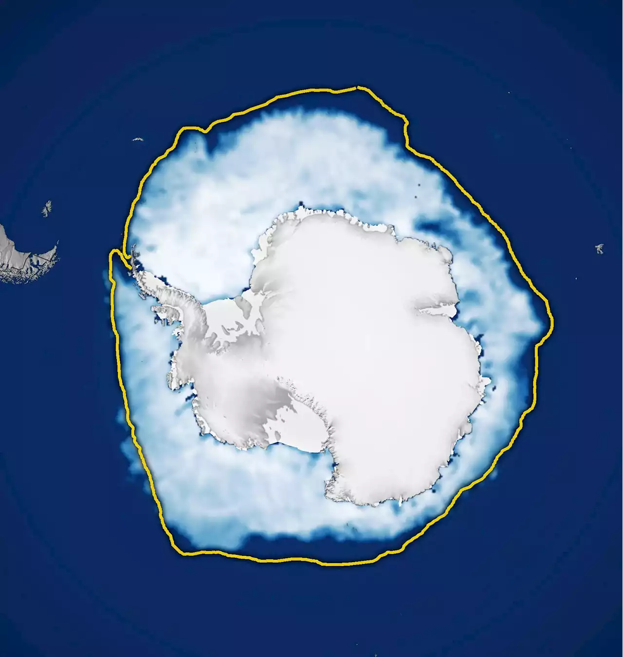 Brrr-eaking Milestones: Antarctic Sea Ice Sees Record Low Growth