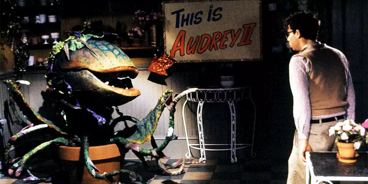 Little Shop Of Horrors’ 13 Songs, Ranked