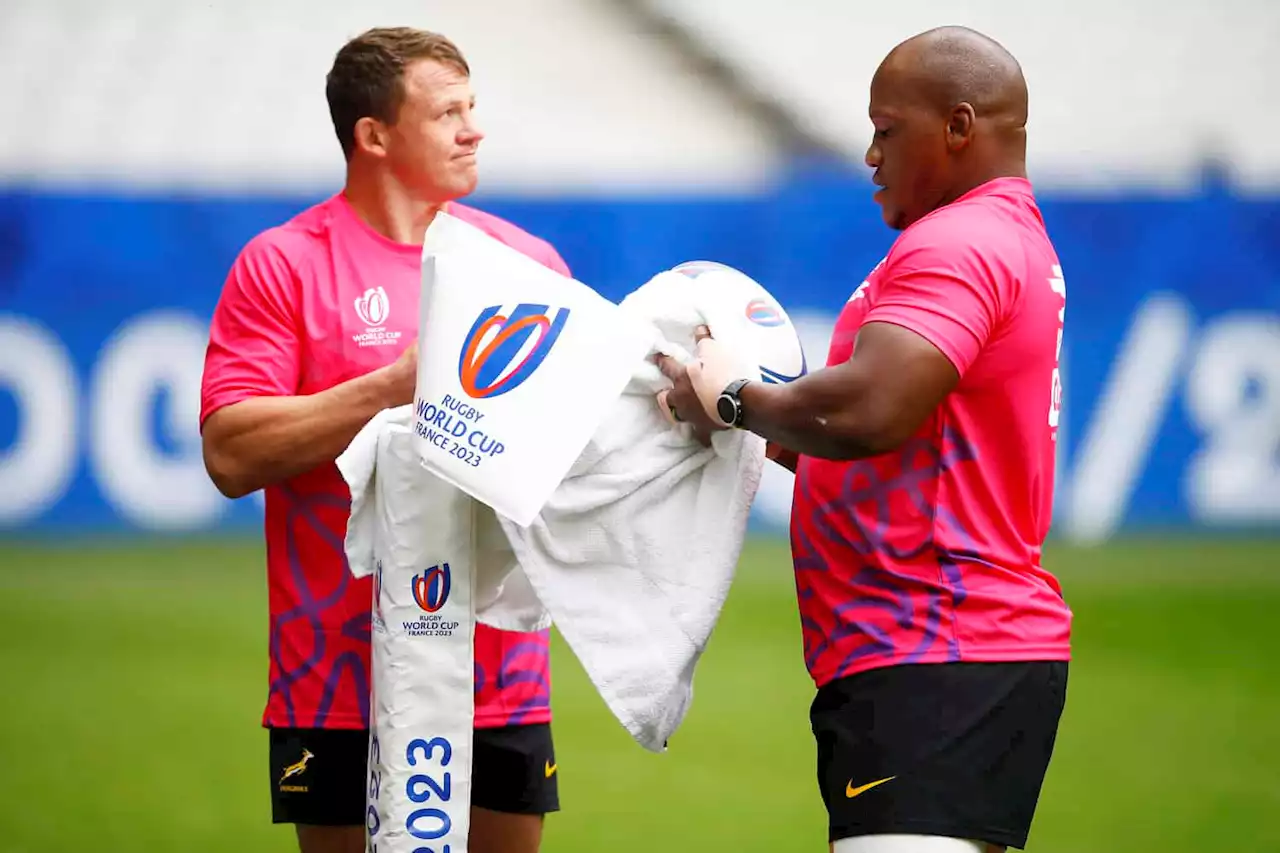 Nienaber eager to see Fourie and Van Staden drive the Boks' system