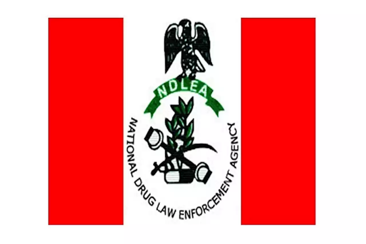 NDLEA raids Lagos, 5 other states; recovers 99,867 pills of opioids