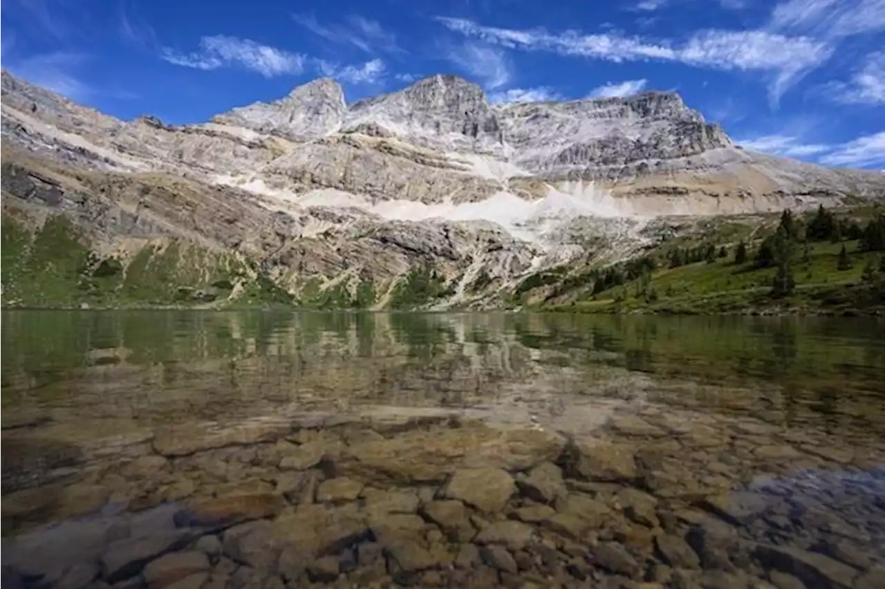 Two killed in bear attack at Banff National Park, grizzly euthanized: Parks Canada