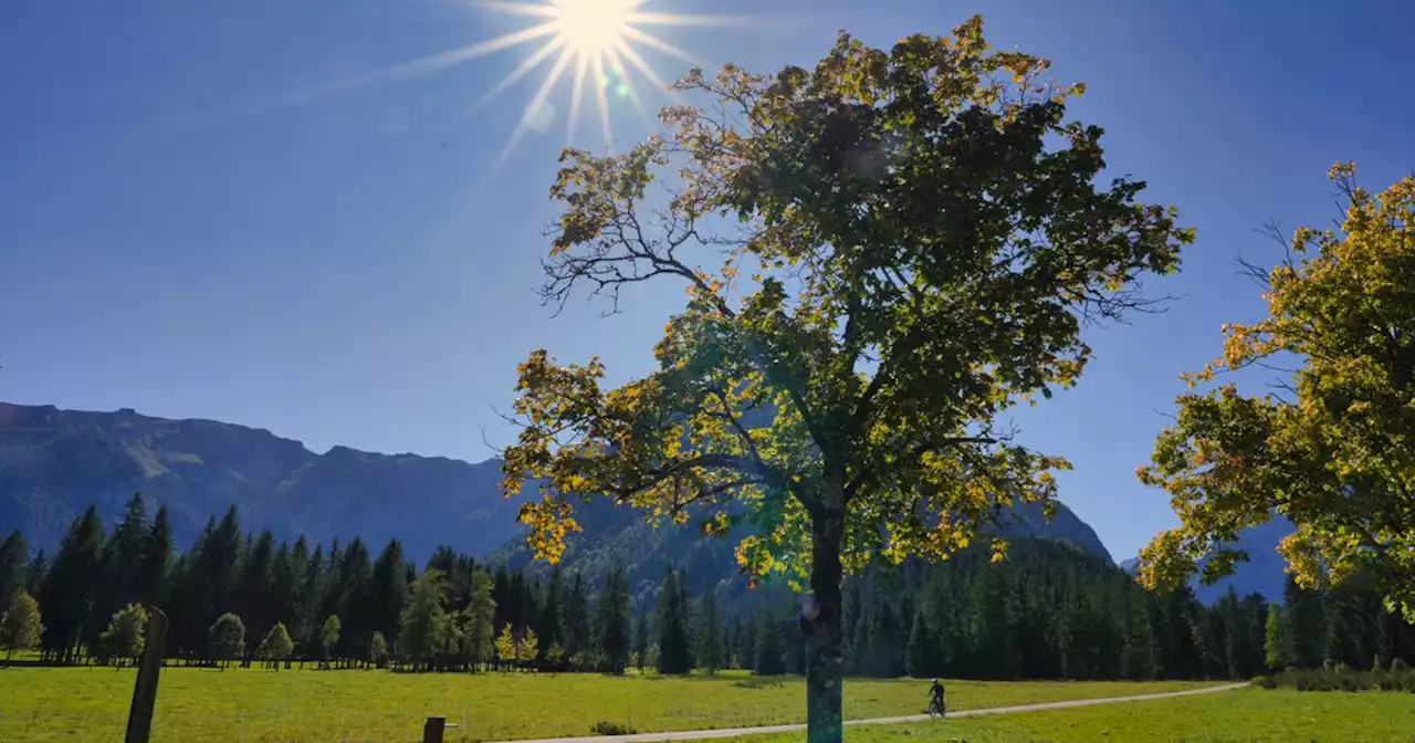 Bis zu 28 Grad: Auch der Oktober beginnt außergewöhnlich warm in Tirol | Tiroler Tageszeitung Online