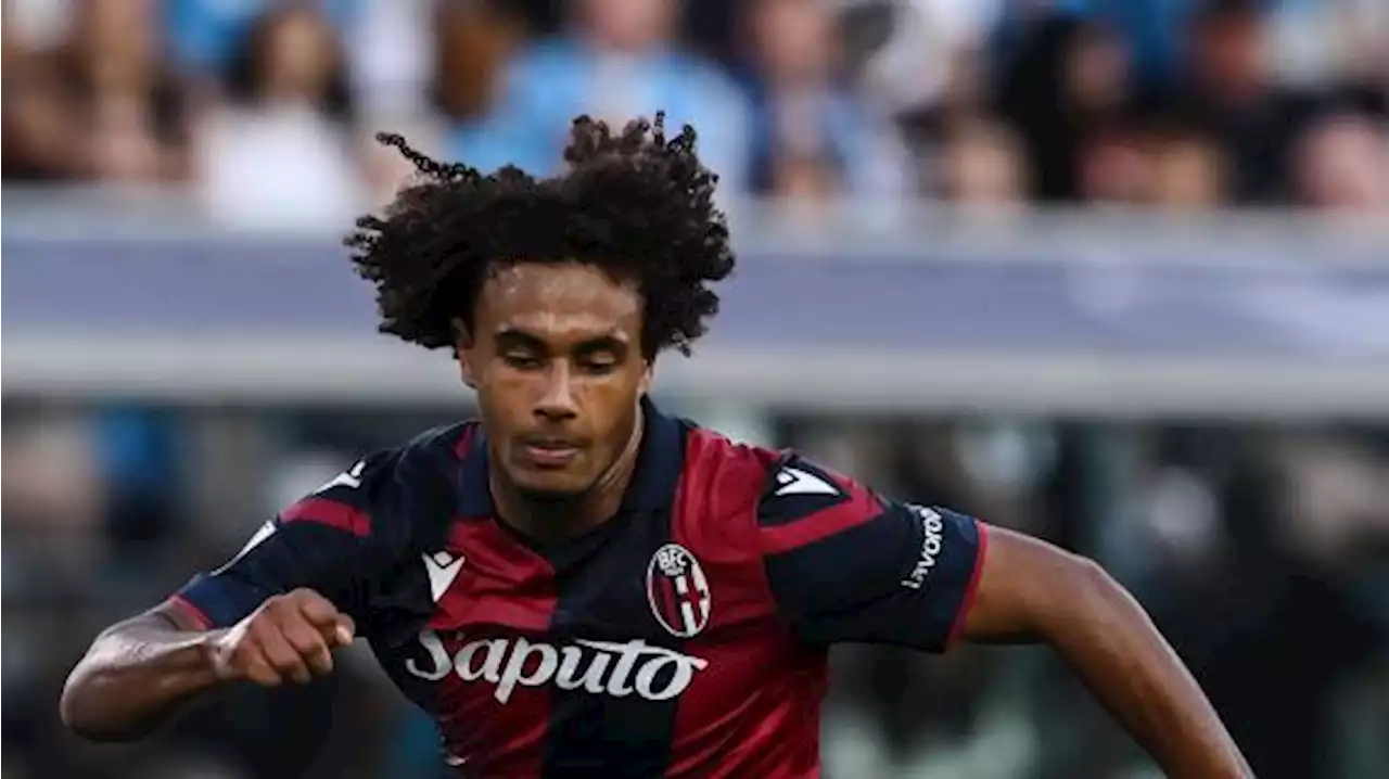 Bologna-Empoli, le formazioni ufficiali: Zirkzee per Motta, Caputo con Cambiaghi dal 1'