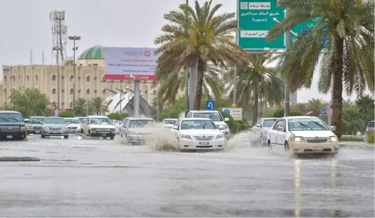 إنذار لـ 9 مساءً.. “الأرصاد” يُحذر هذه المناطق من أمطار وصواعق رعدية - صحيفة تواصل الالكترونية | صحيفة إخبارية سعودية شاملة لأخبار اقتصادية واجتماعية وسياسية