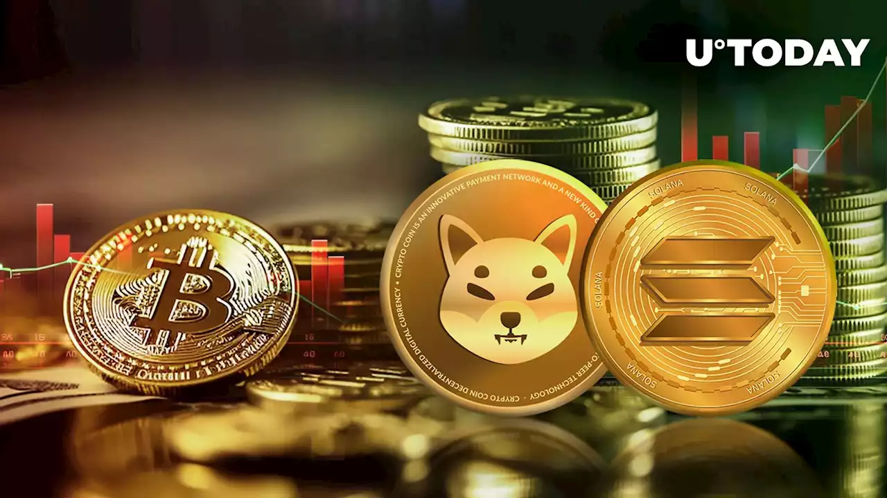 Shiba Inu (SHIB) and Solana (SOL) in Green as Bitcoin (BTC) Stalls