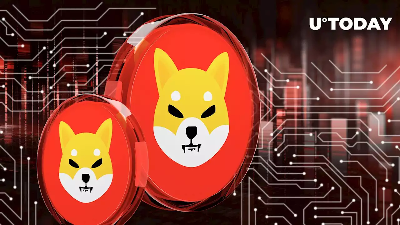 Shiba Inu (SHIB) Team Issues Warning to Community: Details