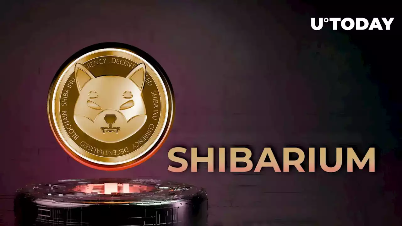 Shiba Inu (SHIB) Team Member Makes Interesting Shibarium Analogy