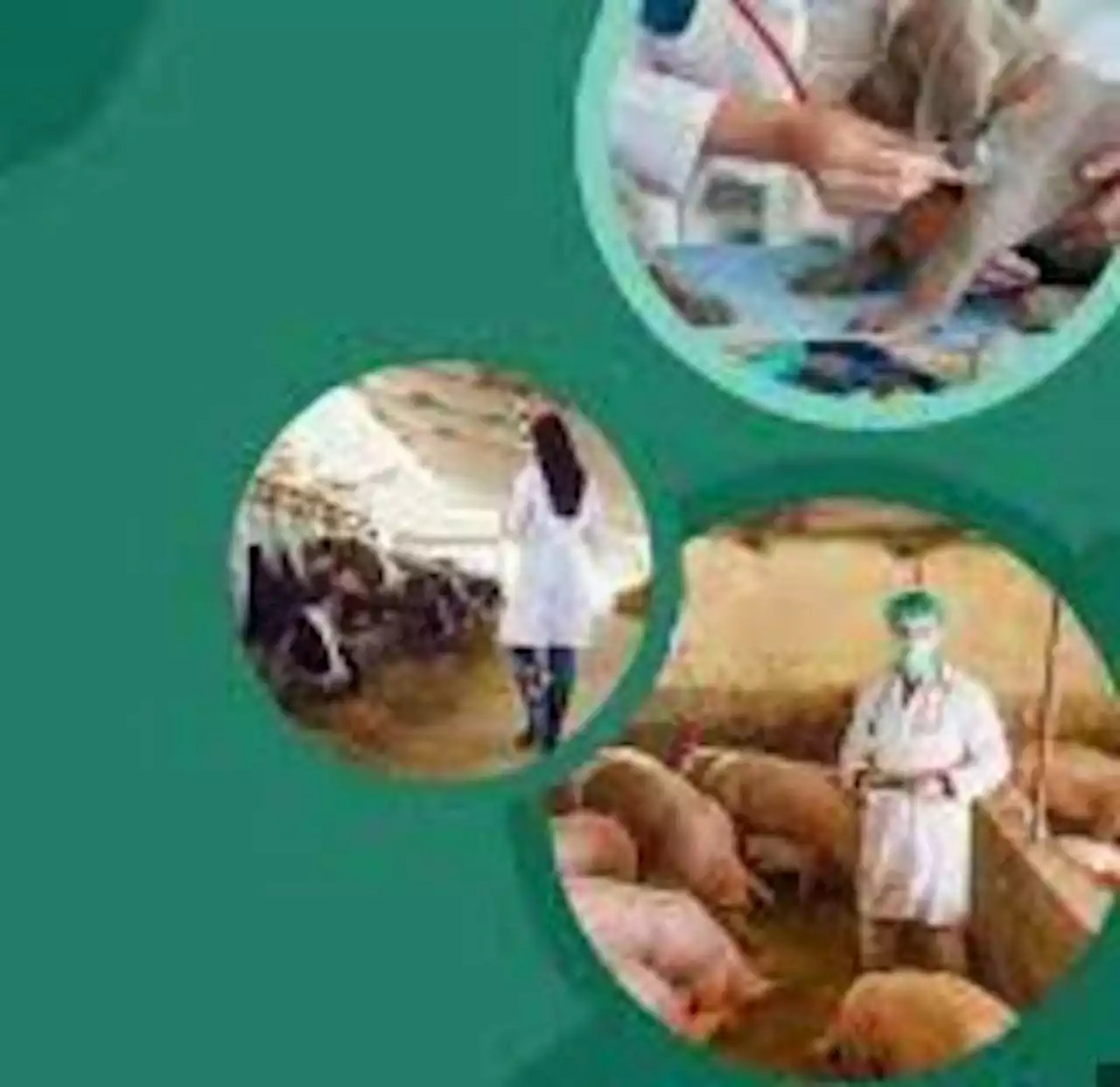 4.6b people at risk of rabies infection