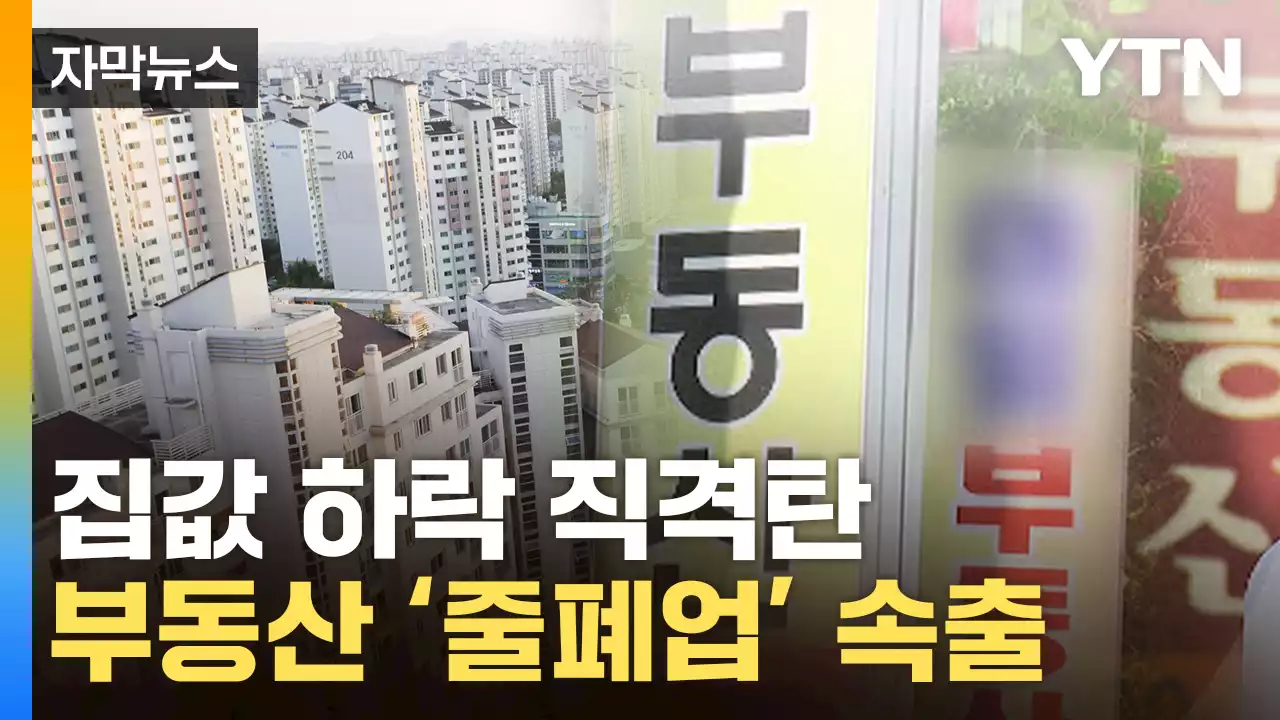 [자막뉴스] '더 이상 못 버텨'...거래 절벽에 공인중개사 줄폐업