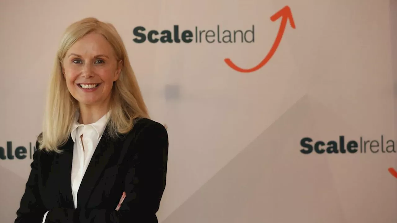 Tech sector: ‘This is a big boost for Irish start-ups and scaling companies’