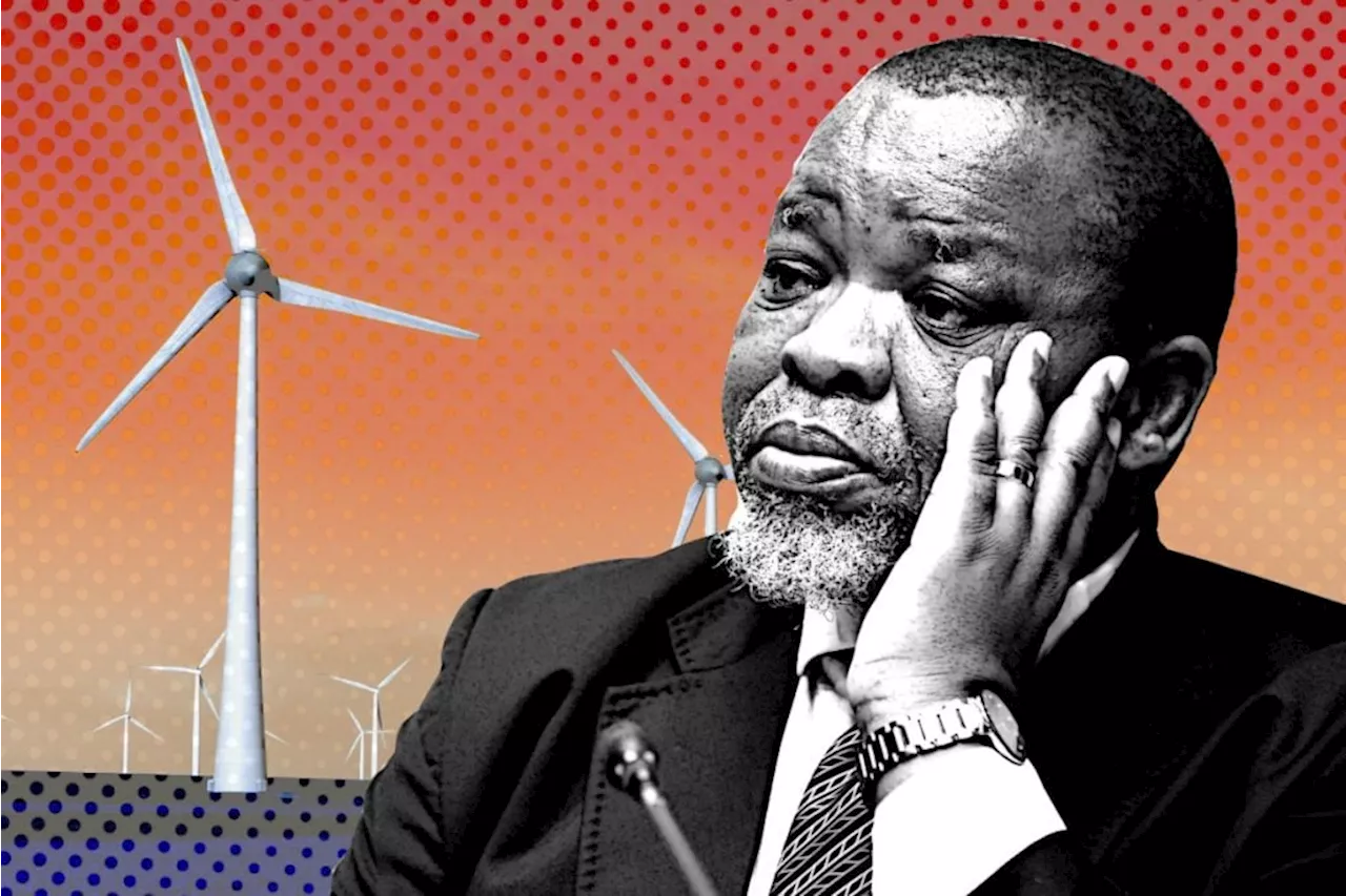 Mantashe blames environmental groups for South Africa’s poor economic growth