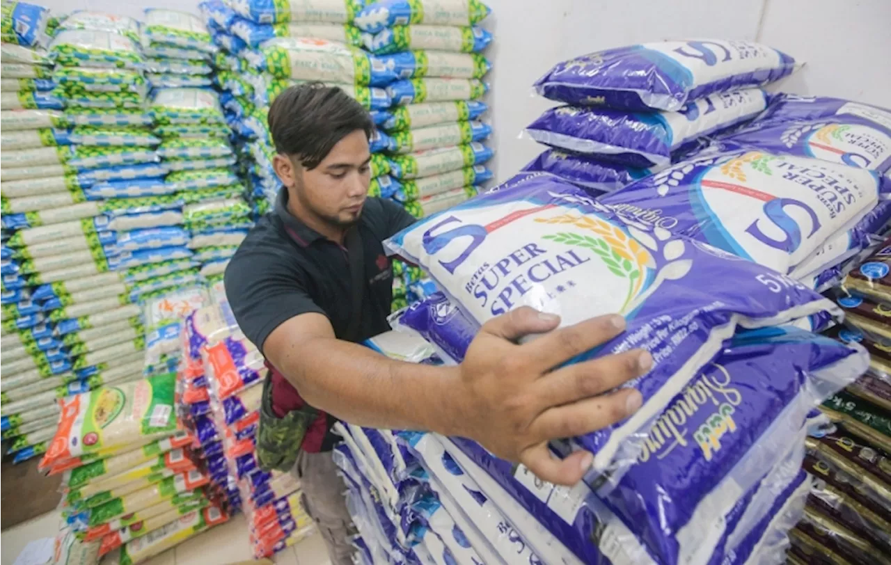 Don’t rely solely on Bernas to stabilise Malaysia’s rice industry, Pac tells Putrajaya