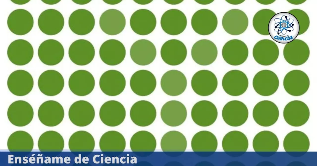Acertijo visual nivel PRO: Encuentra la letra oculta en los círculos verdes; tienes 4 segundos
