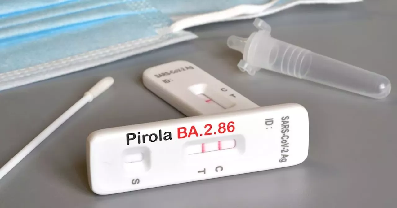 New Covid-19 'Pirola' variant detected in Ireland for first time