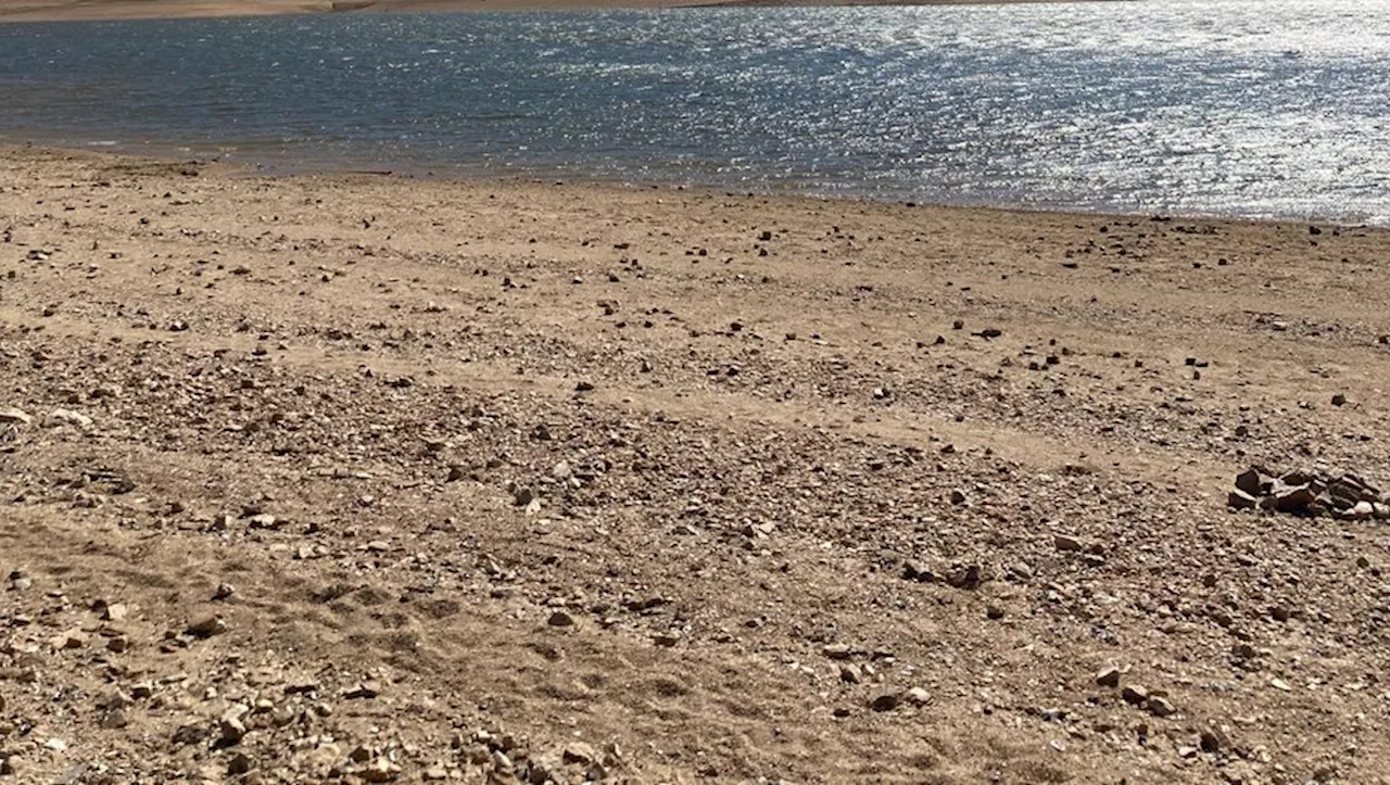 Possibles cyanobactéries dans le lac de Saint-Ferréol : la baignade et la pêche interdites