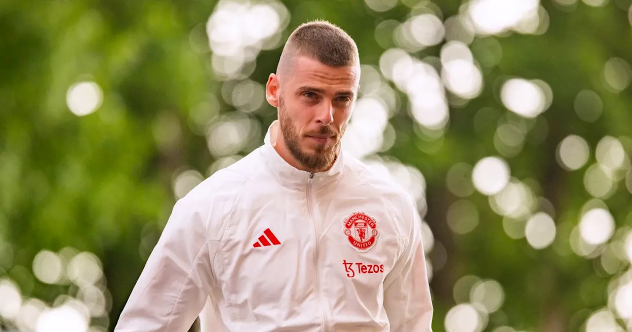 David de Gea sends Manchester United fans wild with Instagram story