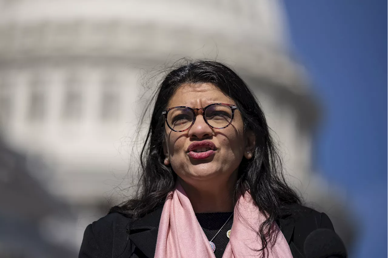 Rashida Tlaib's Palestinian Flag Sparks Call For Congress Ban