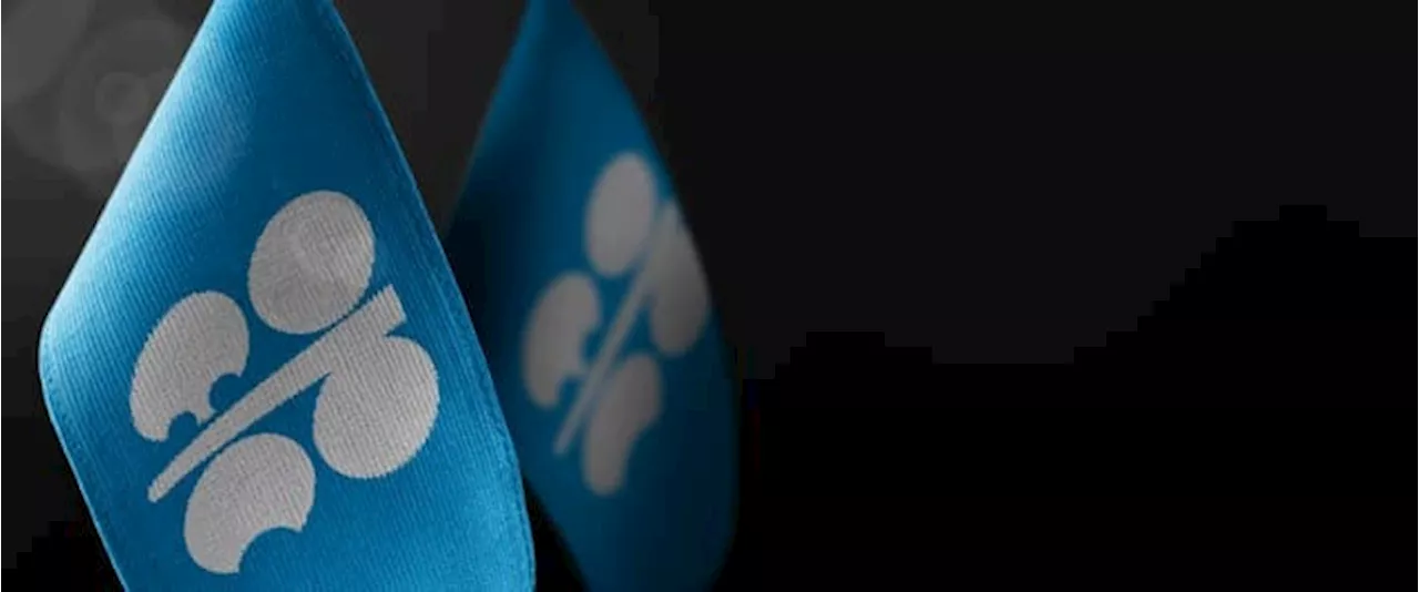 OPEC Warns Net Zero Push Endangers Global Energy Security