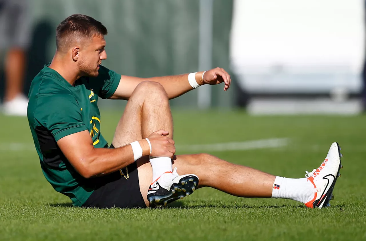 Springboks v France: Here’s who will be on TMO duty