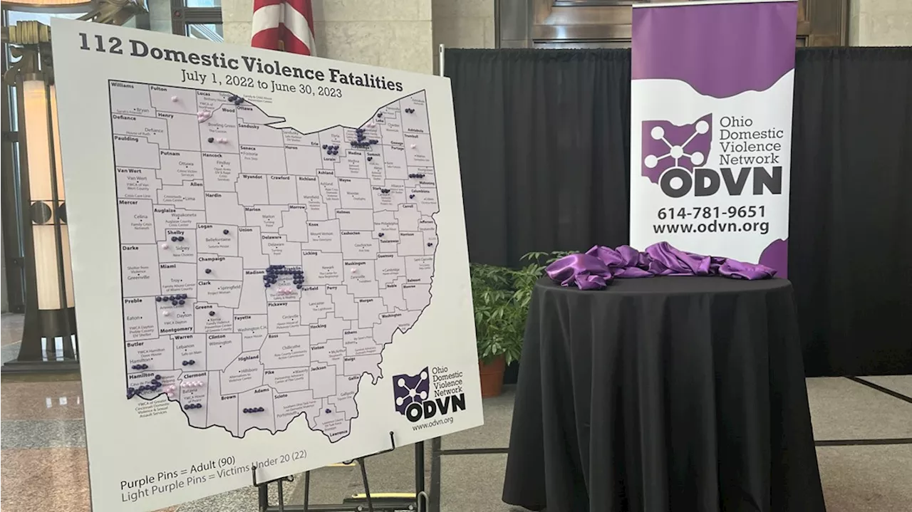 'It doesn't get better': 112 domestic violence deaths in Ohio in the last year, including 22 young people