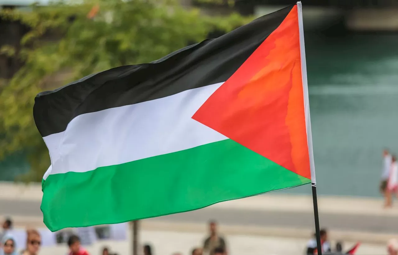 Guerre Hamas - Israël : Une seconde manifestation pour la Palestine interdite à Lyon