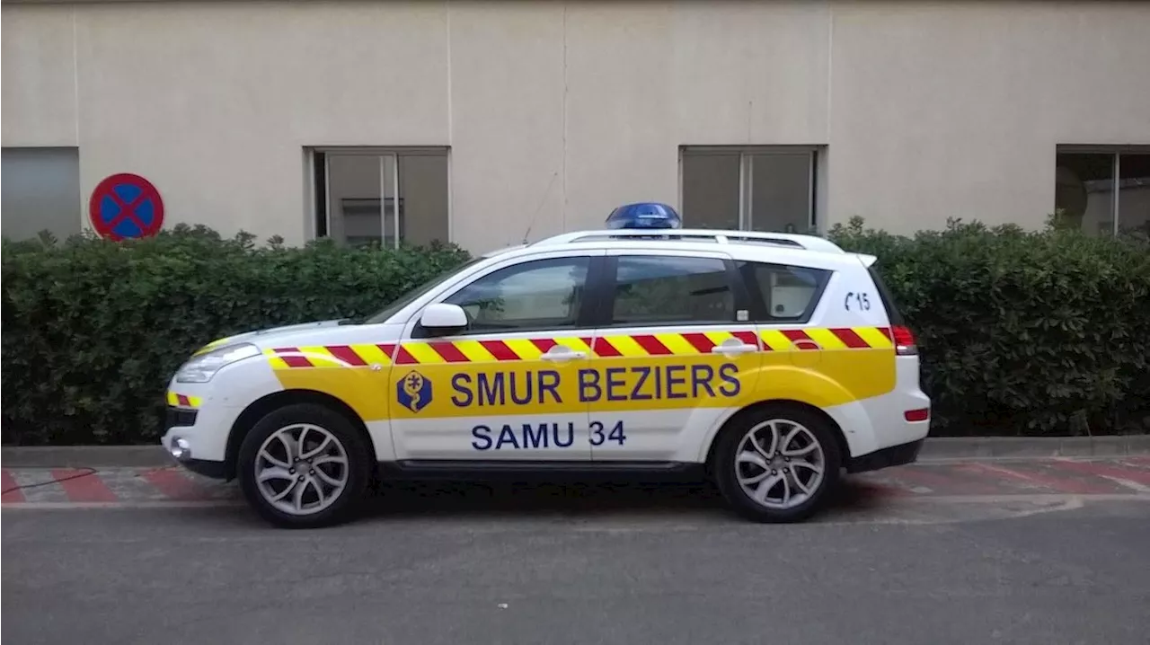 Béziers : le chien d'une femme décédée à domicile menaçait pompiers et policiers | Métropolitain