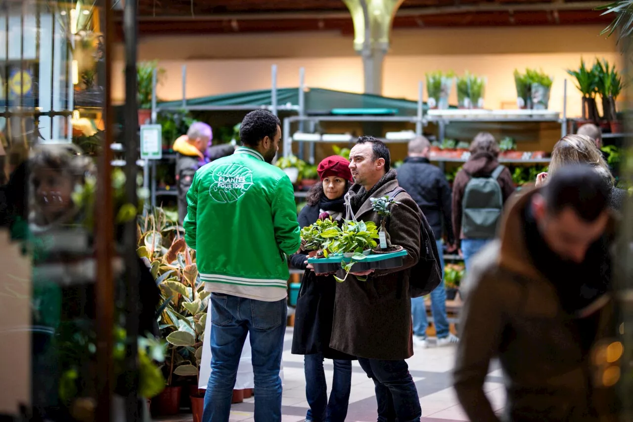 Plantes pour tous s'installe au centre commercial Rosny 2 | Actu Paris